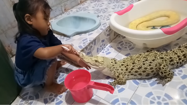 Una niña cepilla los dientes de un cocodrilo - Sputnik Mundo