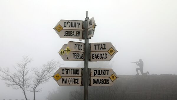 Un pilar fronterizo en los Altos de Golán - Sputnik Mundo
