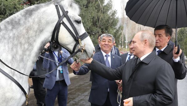 El presidente kirguís, Sooronbay Jeenbekov, le regala al presidente ruso, Vladímir Putin, un corcel - Sputnik Mundo