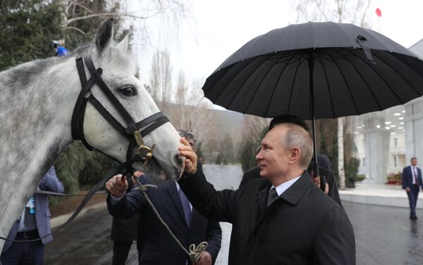 El presidente kirguís, Sooronbay Jeenbekov, le regala al presidente ruso, Vladímir Putin, un corcel - Sputnik Mundo