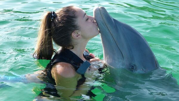 Una chica besa a un delfin - Sputnik Mundo