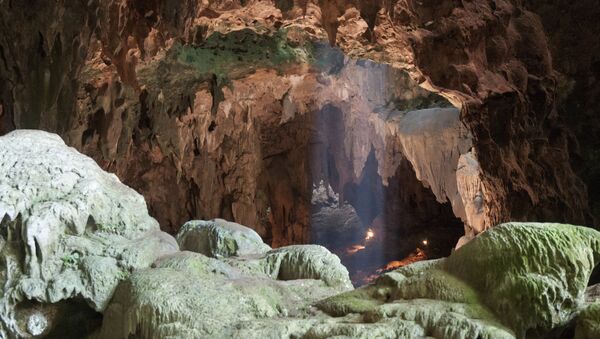 Cueva del Callao en la isla de Luzón (Filipinas), donde se descubrieron los fósiles de 'Homo luzonensis' - Sputnik Mundo