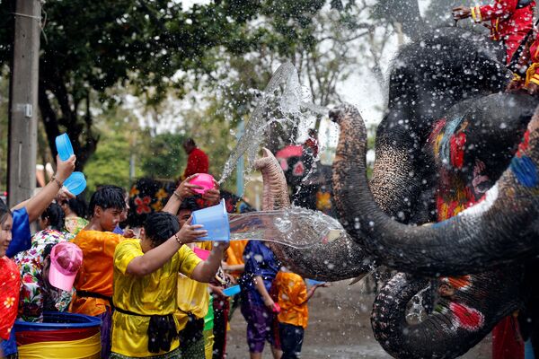 Humanos y elefantes se lanzan agua mutuamente durante el festival Songkran, que marca el año nuevo en Tailandia, el 11 de abril de 2019 - Sputnik Mundo