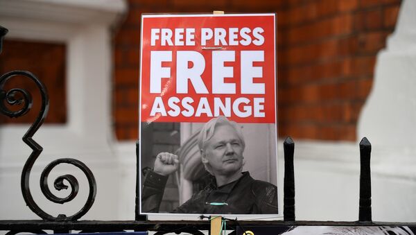 A supporter of WikiLeaks founder Julian Assange holds a placard outside the Ecuadorian Embassy in London on April 5, 2019 - Sputnik Mundo