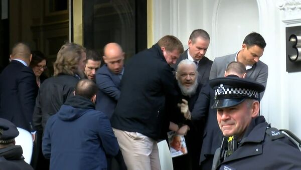 Aresto de Julian Assange - Sputnik Mundo