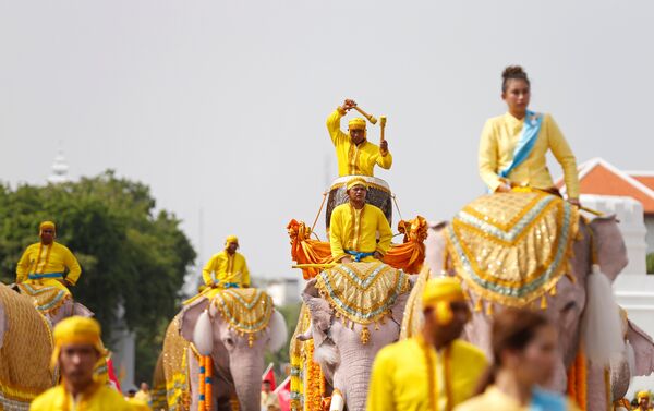 Desfile de elefantes en Bangkok, Tailandia - Sputnik Mundo