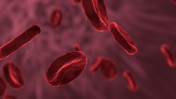 Células de sangre (imagen referencial) - Sputnik Mundo