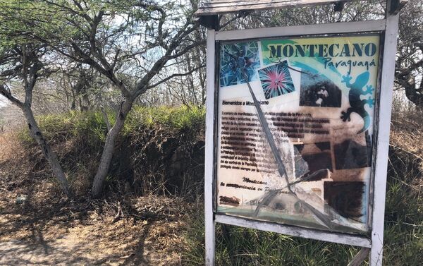 El Parque de Montecano, en el Estado Falcón, Venezuela - Sputnik Mundo