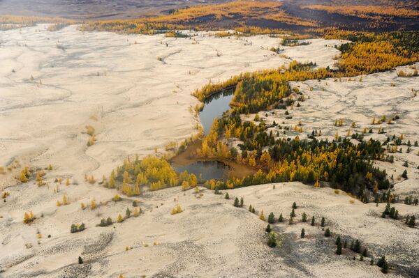 Las arenas de Chara: un desierto en el corazón de Siberia - Sputnik Mundo