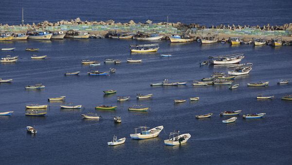 Los barcos de pescadores palestinos en el puerto de Gaza  - Sputnik Mundo