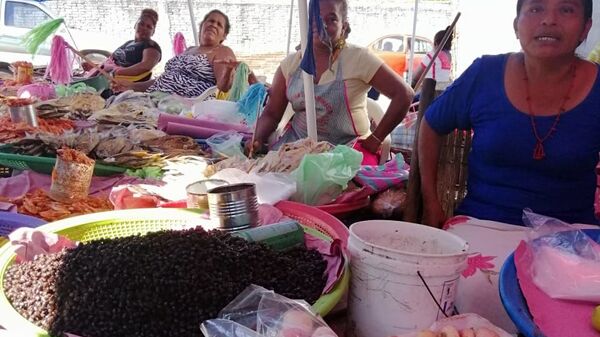En algunos mercados de Oaxaca es posible encontrar hormigas voladoras a la venta - Sputnik Mundo