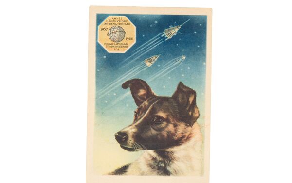 Postal con la imagen de Laika - Sputnik Mundo