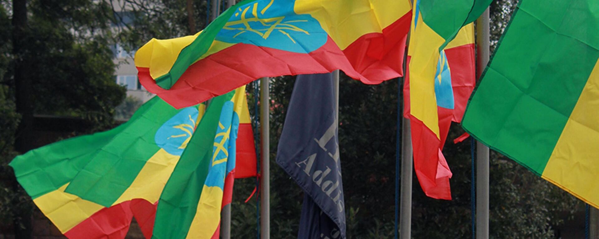 Banderas de Etiopía - Sputnik Mundo, 1920, 30.06.2023