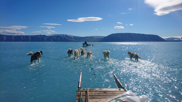 La foto tomada por el climatólogo Steffen M.Olsen durante una misión de rutina en el noroeste de Groenlandia - Sputnik Mundo