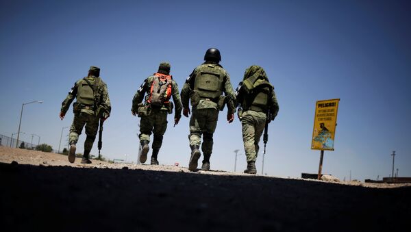 La Guardia Nacional de México en la frontera norte - Sputnik Mundo