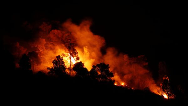 Incendio forestal en Cataluña - Sputnik Mundo