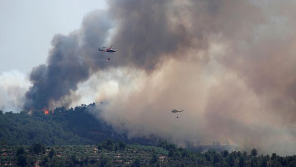 Incendio forestal en Catlauña, España - Sputnik Mundo