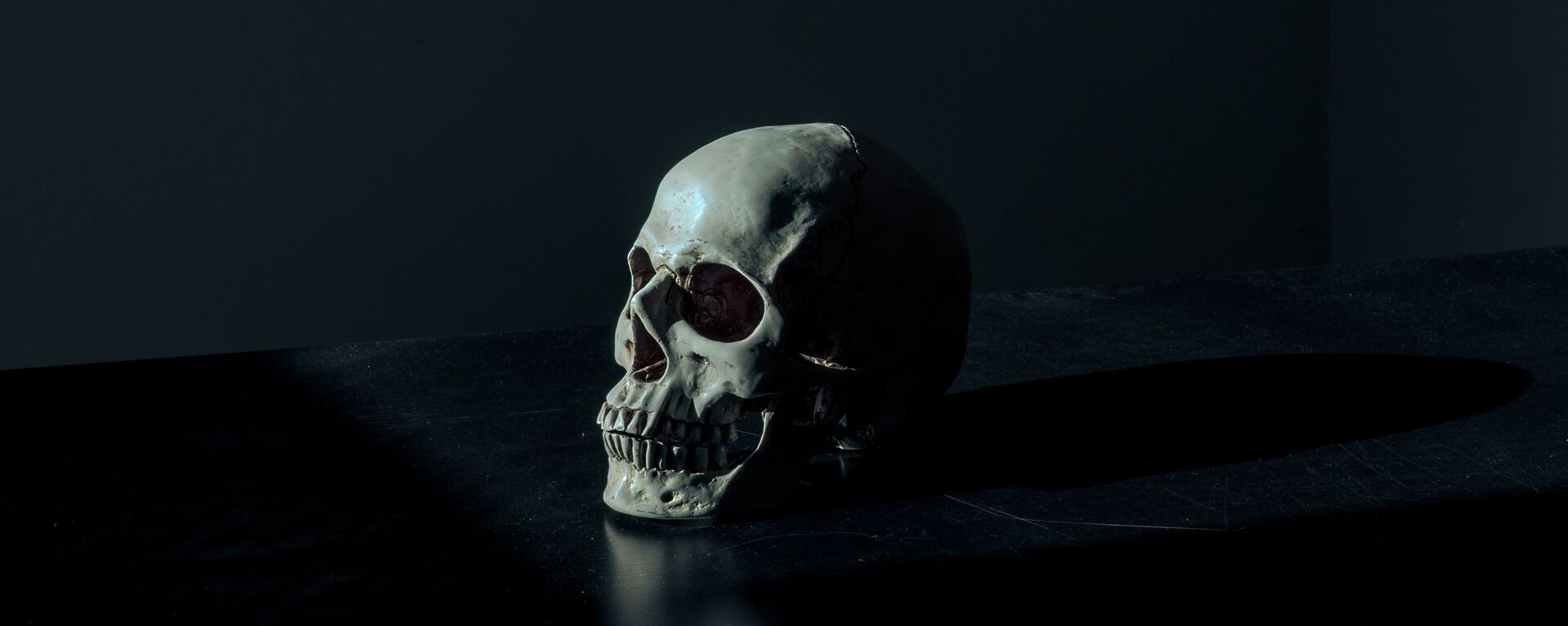 Un cráneo humano (imagen referencial) - Sputnik Mundo, 1920, 01.06.2023