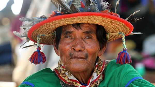 Un miembro de la comunidad de los pueblos indígenas en México (imagen referencial) - Sputnik Mundo