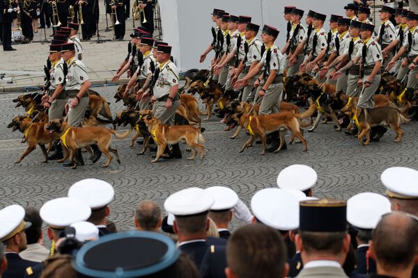 Participantes del desfile militar en los Campos Elíseos de París. - Sputnik Mundo