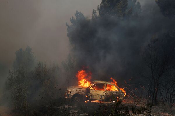 Casas y autos incinerados: Portugal se enfrenta a los incendios forestales
 - Sputnik Mundo