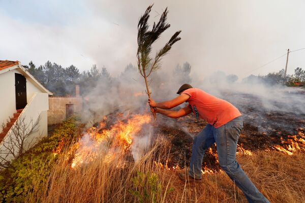 
Casas y autos incinerados: Portugal se enfrenta a los incendios forestales

 - Sputnik Mundo