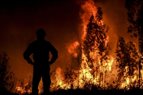 Casas y autos incinerados: Portugal se enfrenta a los incendios forestales
 - Sputnik Mundo