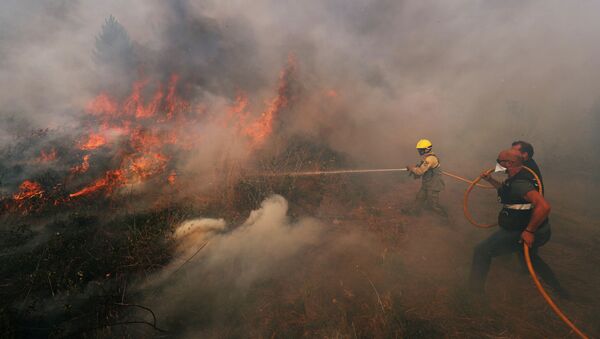 Incendios forestales en Portugal  - Sputnik Mundo