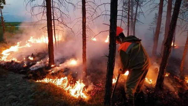 Incendios Forestales en Siberia, Rusia - Sputnik Mundo