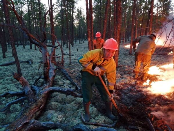 Los incendios forestales azotan distintos continentes - Sputnik Mundo