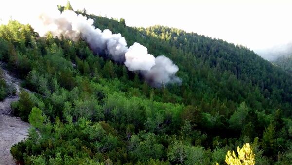 Incendios forestales en Siberia - Sputnik Mundo