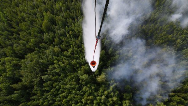 Lucha contra incendios forestales en Rusia (archivo) - Sputnik Mundo