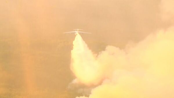Los militares rusos siguen luchando contra los incendios que azotan Siberia - Sputnik Mundo