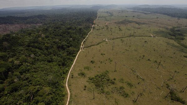 Una área deforestada en la Amazonía brasileña - Sputnik Mundo