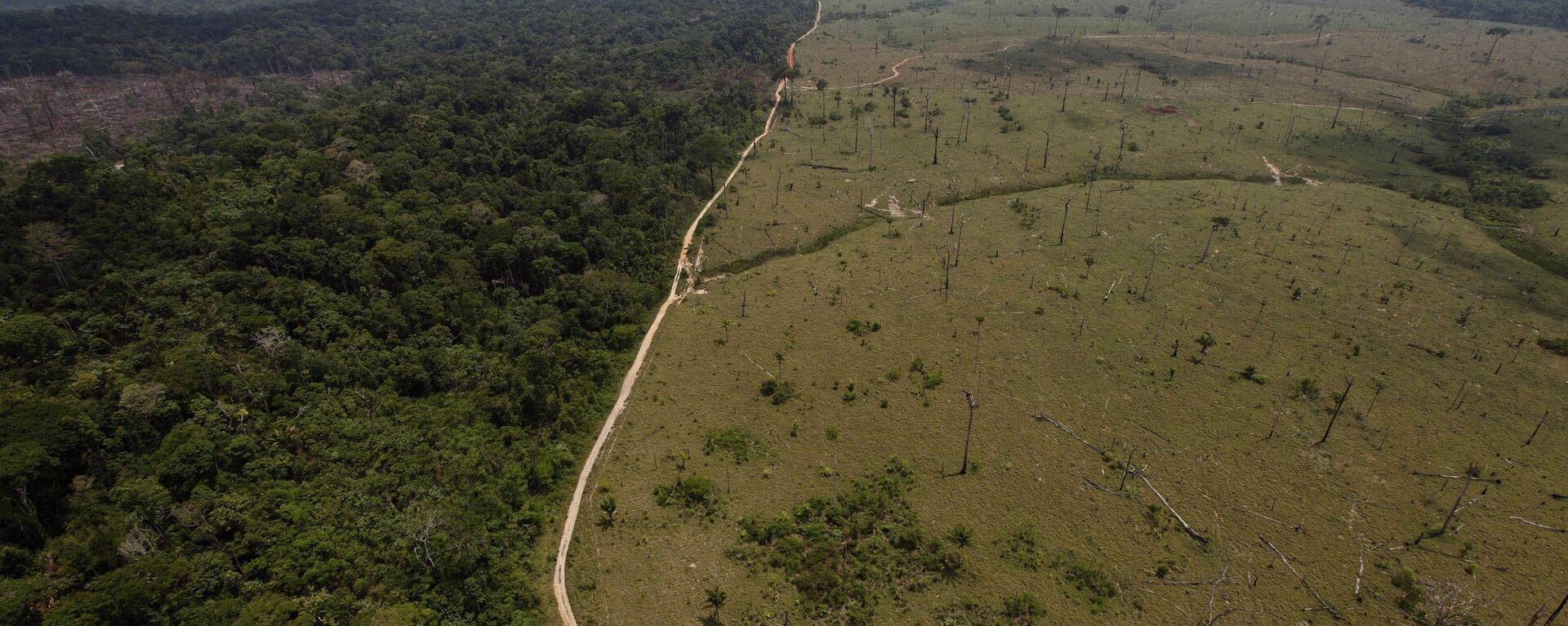 Una área deforestada en la Amazonía brasileña - Sputnik Mundo, 1920, 02.08.2021