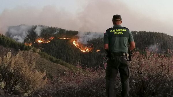 Los incendios forestales en la isla de Gran Canaria - Sputnik Mundo