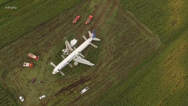 Un avión de pasajeros hizo un aterrizaje de emergencia en la región de Moscú - Sputnik Mundo