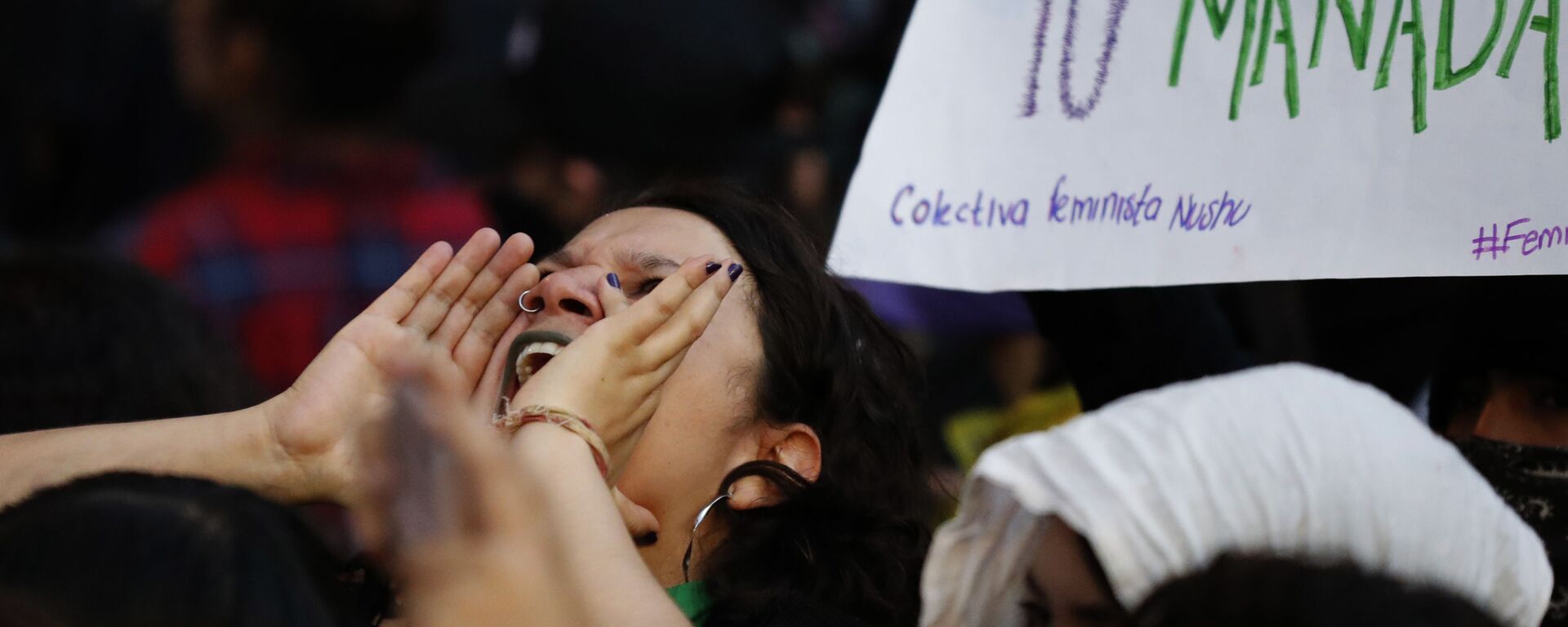 Si violan mujeres violamos sus leyes: la marcha feminista en México acaba en destrozos - Sputnik Mundo, 1920, 24.11.2021