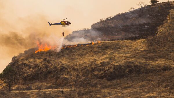 Incendio forestal en Gran Canaria - Sputnik Mundo