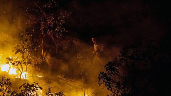 Incendios forestales en Brasil, foto de archivo - Sputnik Mundo