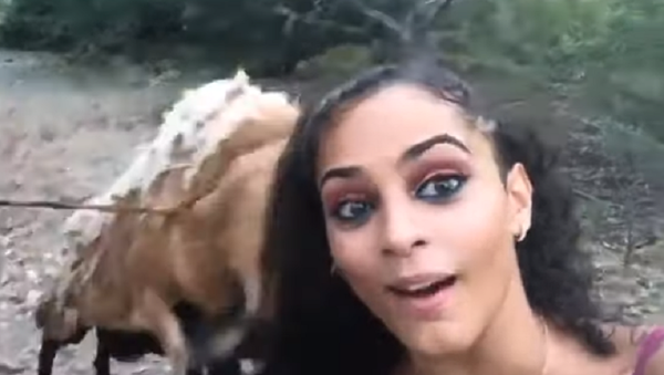 Selección natural: una joven intenta hacerse una selfi con una cabra y esto es lo que pasa - Sputnik Mundo
