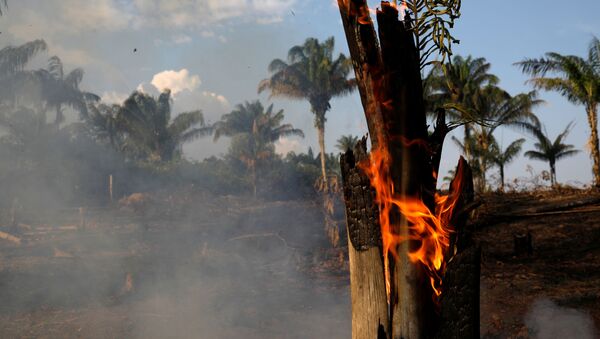 Incendios forestales en Amazonia - Sputnik Mundo