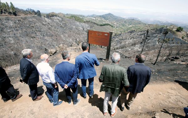 La visita de Pedro Sánchez a la isla de Gran Canaria tras en incendio - Sputnik Mundo