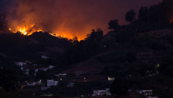 Incendio en Gran Canaria (Archivo) - Sputnik Mundo