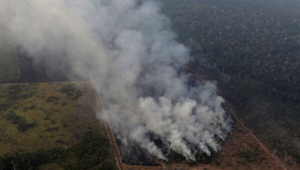 Incendio en un área de la selva amazónica cerca de Porto Velho, estado de Rondonia, Brasil. - Sputnik Mundo