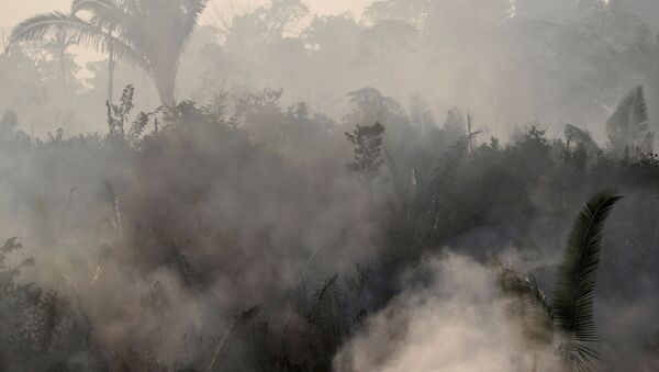 Incendios en Amazonía - Sputnik Mundo