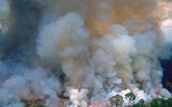 Uno de los brotes de incendio en la selva amazónica - Sputnik Mundo