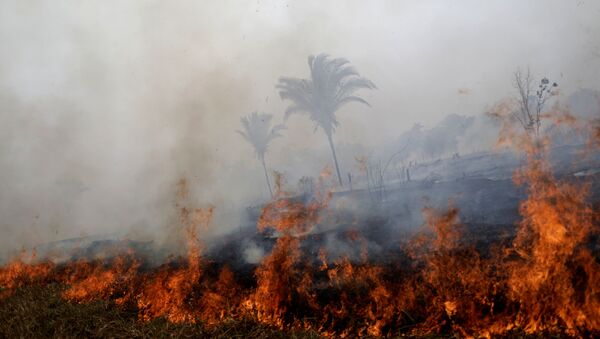 Incendios forestales en la Amazonía brasileña (archivo) - Sputnik Mundo