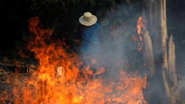 Incendios en la Amazonía - Sputnik Mundo