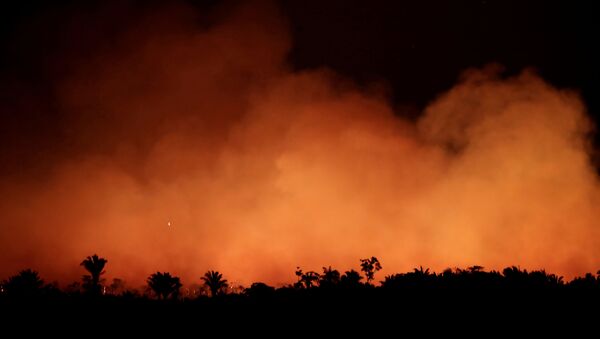 Incendios forestales en Brasil - Sputnik Mundo
